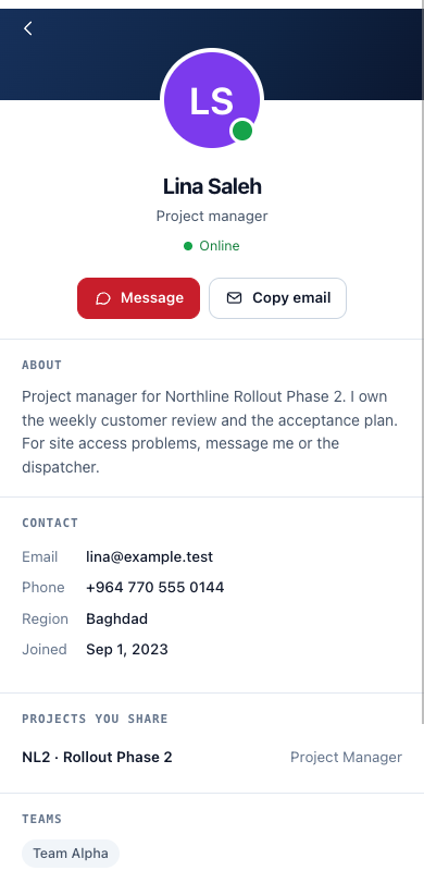 Connect profile on the phone, example data